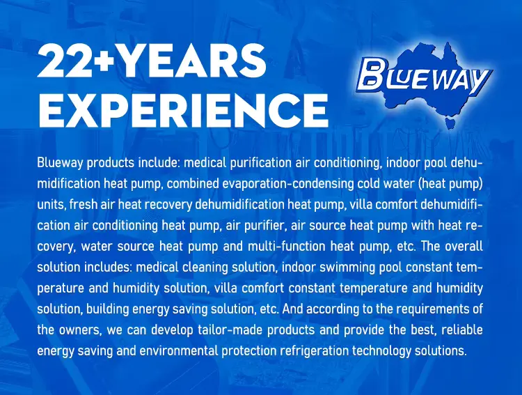 Indoor Big Swimming Pool Heaters Heat Pump With Dehumidifier For Water Park